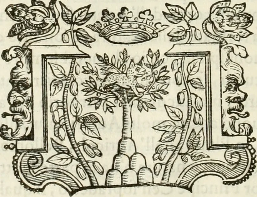 An illustration from Trattato del legno fossile minerale nuouamente scoperto : nel quale breuemente si accenna la varia & mutabil natura di detto legno, rappresentatoui con alcune figure, che mostrano il luogo doue nasce, la diuersità dell'onde che in esso si vedono, e le sue così varie e marauigliose forme, 1637, leaf 15