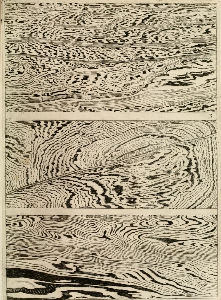 An illustration from Trattato del legno fossile minerale nuouamente scoperto : nel quale breuemente si accenna la varia & mutabil natura di detto legno, rappresentatoui con alcune figure, che mostrano il luogo doue nasce, la diuersità dell'onde che in esso si vedono, e le sue così varie e marauigliose forme, 1637, leaf 20