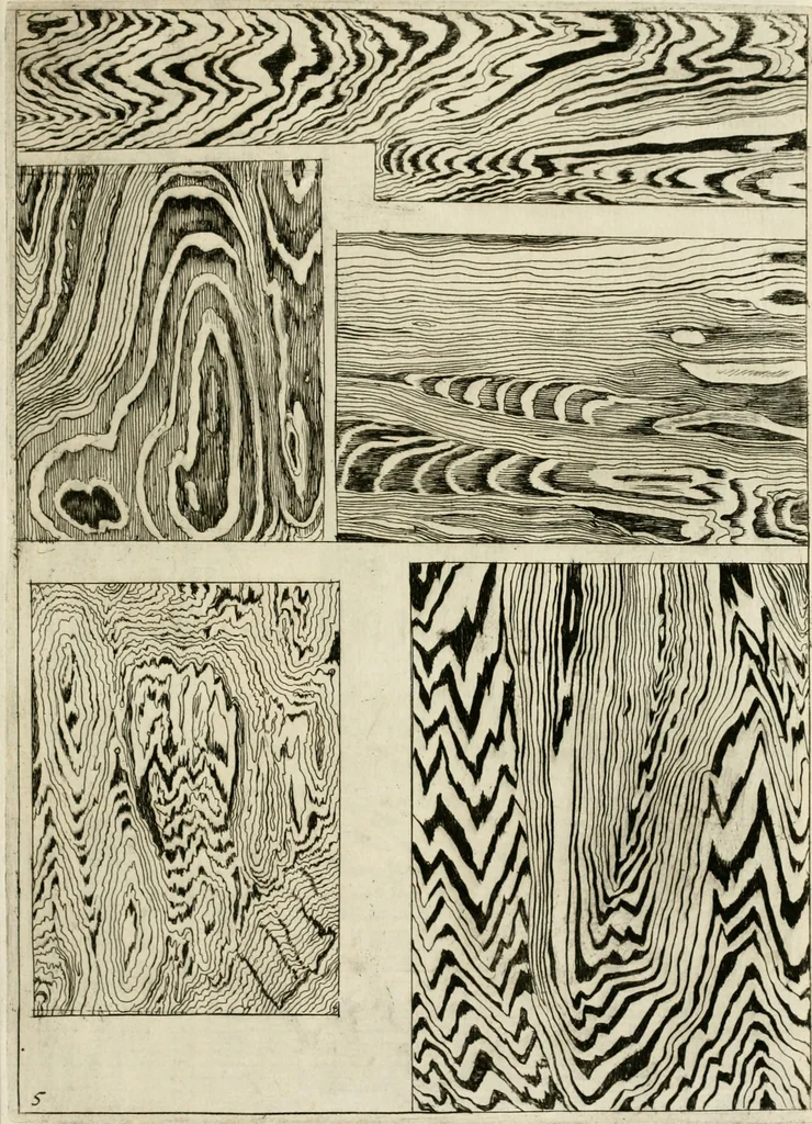 An illustration from Trattato del legno fossile minerale nuouamente scoperto : nel quale breuemente si accenna la varia & mutabil natura di detto legno, rappresentatoui con alcune figure, che mostrano il luogo doue nasce, la diuersità dell'onde che in esso si vedono, e le sue così varie e marauigliose forme, 1637, leaf 24
