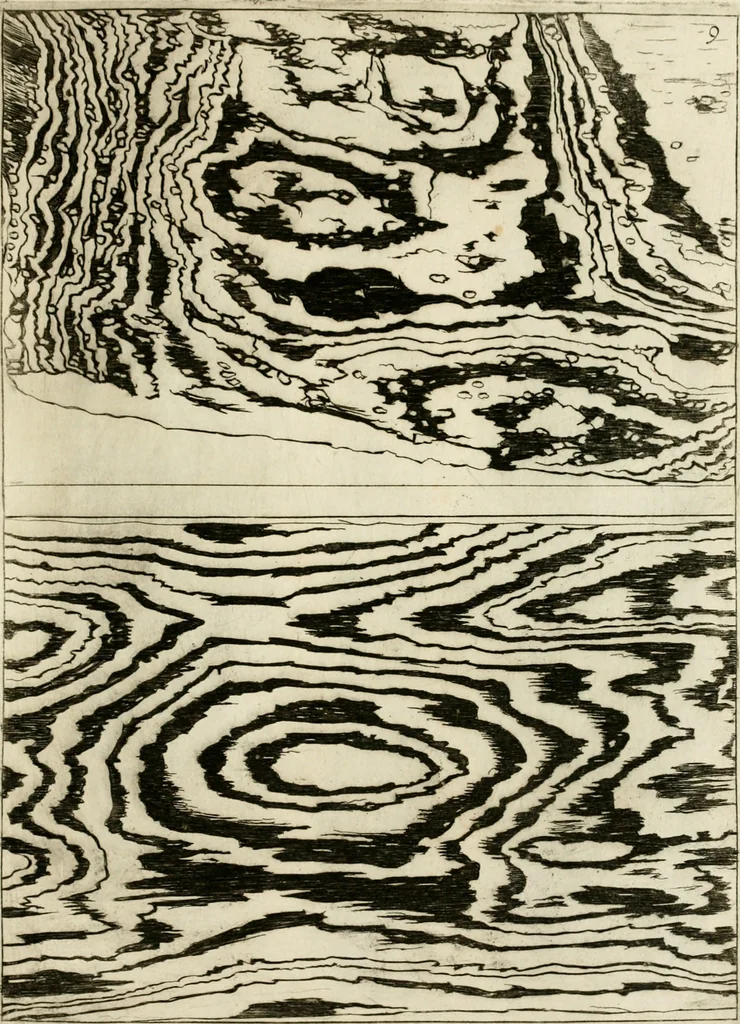 An illustration from Trattato del legno fossile minerale nuouamente scoperto : nel quale breuemente si accenna la varia & mutabil natura di detto legno, rappresentatoui con alcune figure, che mostrano il luogo doue nasce, la diuersità dell'onde che in esso si vedono, e le sue così varie e marauigliose forme, 1637, leaf 32