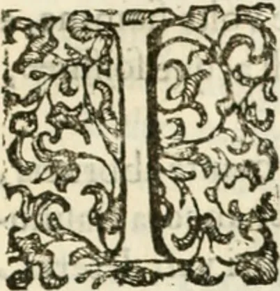 An illustration from Trattato del legno fossile minerale nuouamente scoperto : nel quale breuemente si accenna la varia & mutabil natura di detto legno, rappresentatoui con alcune figure, che mostrano il luogo doue nasce, la diuersità dell'onde che in esso si vedono, e le sue così varie e marauigliose forme, 1637, leaf 8