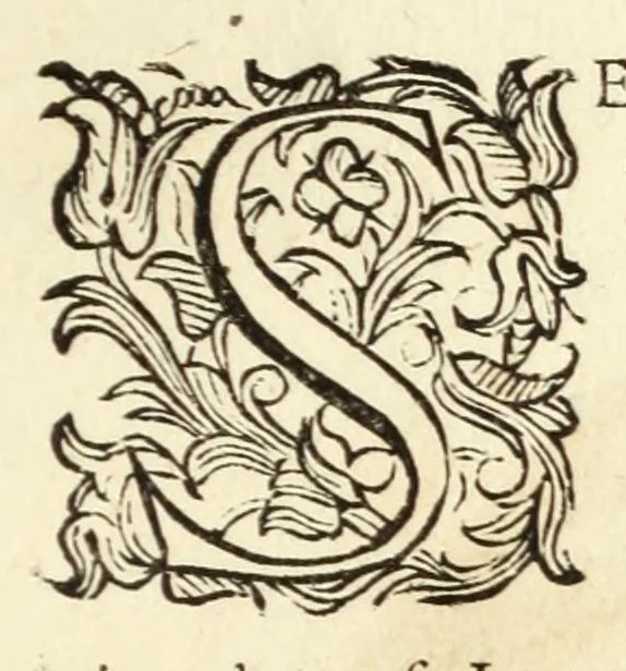 An illustration from Trattato delle piante & immagini de sacri edifizi di Terra Santa : disegnate in Ierusalemme secondo le regole della prospettiua, & uera misura della lor grandezza, 1620, leaf 133