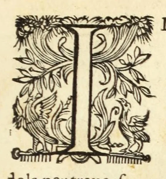 An illustration from Trattato delle piante & immagini de sacri edifizi di Terra Santa : disegnate in Ierusalemme secondo le regole della prospettiua, & uera misura della lor grandezza, 1620, leaf 23