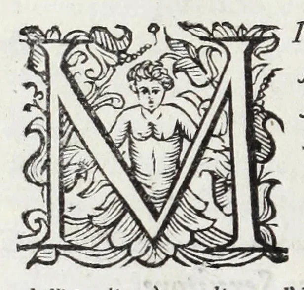 An illustration from Trattato delle piante & immagini de sacri edifizi di Terra Santa, 1620, leaf 10