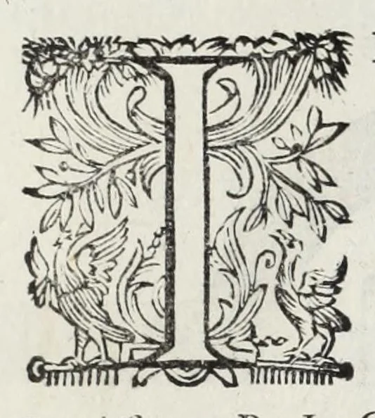 An illustration from Trattato delle piante & immagini de sacri edifizi di Terra Santa, 1620, leaf 127