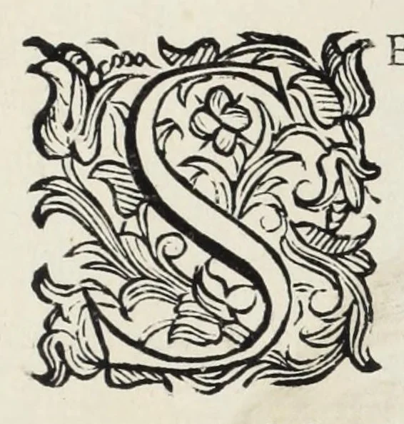 An illustration from Trattato delle piante & immagini de sacri edifizi di Terra Santa, 1620, leaf 131