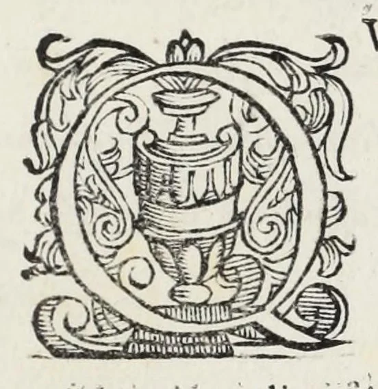 An illustration from Trattato delle piante & immagini de sacri edifizi di Terra Santa, 1620, leaf 143