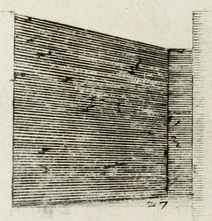 An illustration from Trattato delle piante & immagini de sacri edifizi di Terra Santa, 1620, leaf 98