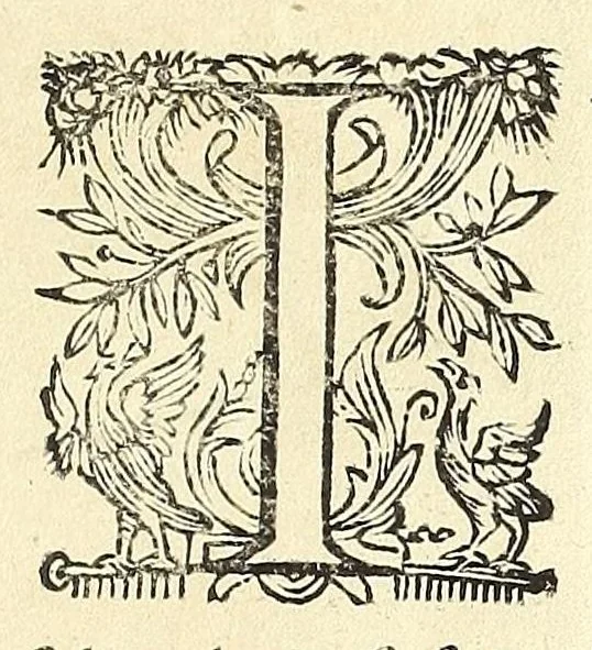 An illustration from Trattato delle piante & immagini de sacri edifizi di Terra Santa, 1620, leaf 101