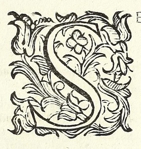An illustration from Trattato delle piante & immagini de sacri edifizi di Terra Santa, 1620, leaf 111