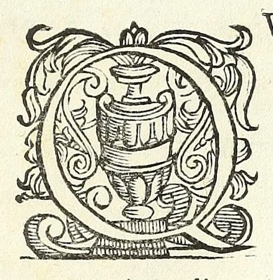 An illustration from Trattato delle piante & immagini de sacri edifizi di Terra Santa, 1620, leaf 143