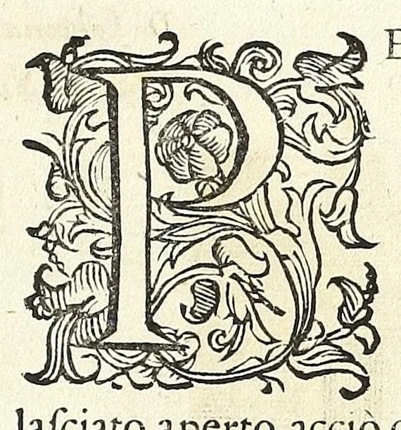 An illustration from Trattato delle piante & immagini de sacri edifizi di Terra Santa, 1620, leaf 61