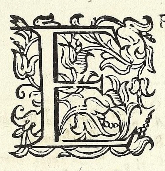 An illustration from Trattato delle piante & immagini de sacri edifizi di Terra Santa, 1620, leaf 75