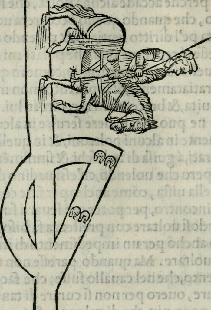 An illustration from Trattato dell'imbrigliare, maneggiare, et ferrare cavalli : diviso in tre parti, con alcvni discorsi sopra la natura di caualli, con disegni di briglie, maneggi, & di caualieri a cauallo, & de ferri d'esso, 1556, leaf 101
