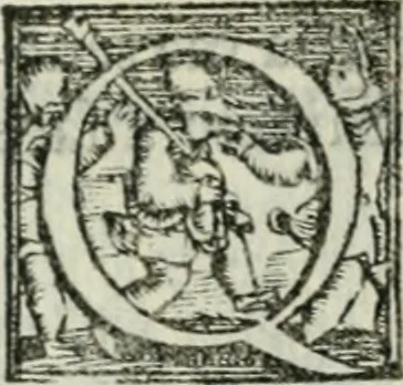 An illustration from Trattato dell'imbrigliare, maneggiare, et ferrare cavalli : diviso in tre parti, con alcvni discorsi sopra la natura di caualli, con disegni di briglie, maneggi, & di caualieri a cauallo, & de ferri d'esso, 1556, leaf 110