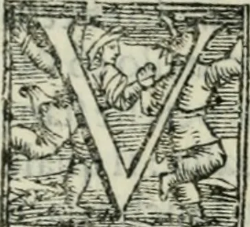 An illustration from Trattato dell'imbrigliare, maneggiare, et ferrare cavalli : diviso in tre parti, con alcvni discorsi sopra la natura di caualli, con disegni di briglie, maneggi, & di caualieri a cauallo, & de ferri d'esso, 1556, leaf 112