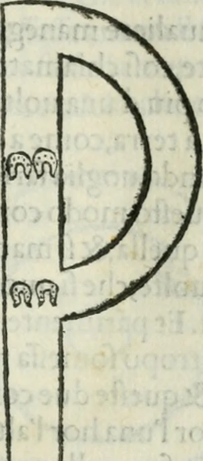 An illustration from Trattato dell'imbrigliare, maneggiare, et ferrare cavalli : diviso in tre parti, con alcvni discorsi sopra la natura di caualli, con disegni di briglie, maneggi, & di caualieri a cauallo, & de ferri d'esso, 1556, leaf 114