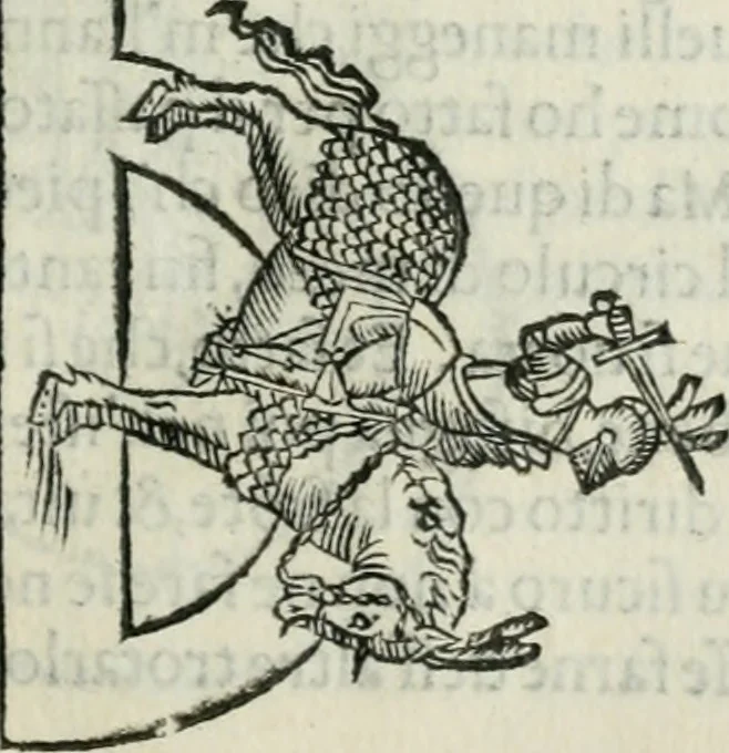 An illustration from Trattato dell'imbrigliare, maneggiare, et ferrare cavalli : diviso in tre parti, con alcvni discorsi sopra la natura di caualli, con disegni di briglie, maneggi, & di caualieri a cauallo, & de ferri d'esso, 1556, leaf 114