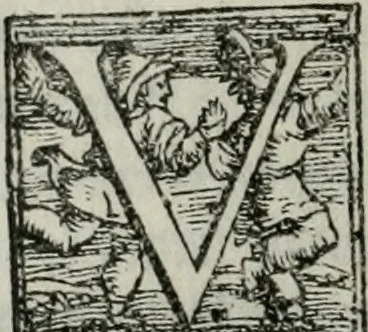 An illustration from Trattato dell'imbrigliare, maneggiare, et ferrare cavalli : diviso in tre parti, con alcvni discorsi sopra la natura di caualli, con disegni di briglie, maneggi, & di caualieri a cauallo, & de ferri d'esso, 1556, leaf 115