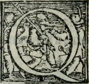 An illustration from Trattato dell'imbrigliare, maneggiare, et ferrare cavalli : diviso in tre parti, con alcvni discorsi sopra la natura di caualli, con disegni di briglie, maneggi, & di caualieri a cauallo, & de ferri d'esso, 1556, leaf 117