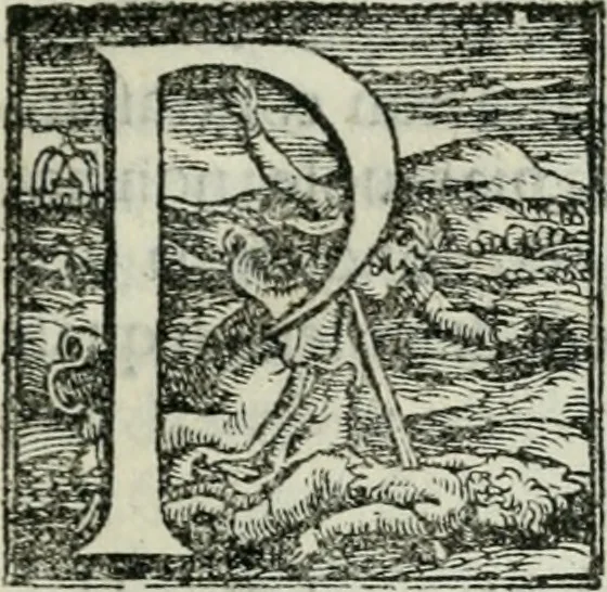 An illustration from Trattato dell'imbrigliare, maneggiare, et ferrare cavalli : diviso in tre parti, con alcvni discorsi sopra la natura di caualli, con disegni di briglie, maneggi, & di caualieri a cauallo, & de ferri d'esso, 1556, leaf 12