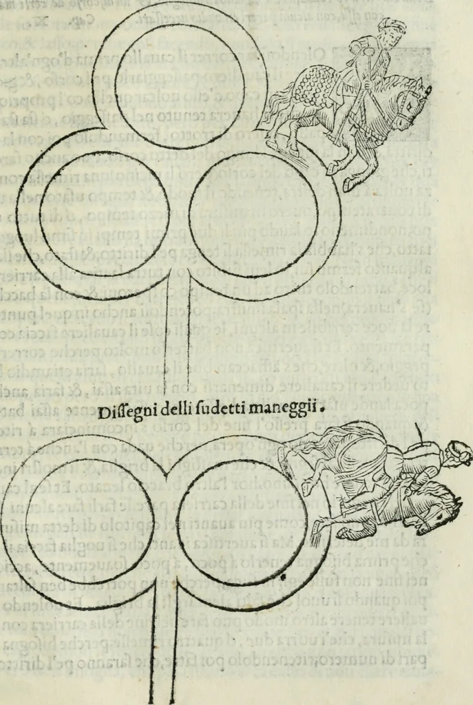 An illustration from Trattato dell'imbrigliare, maneggiare, et ferrare cavalli : diviso in tre parti, con alcvni discorsi sopra la natura di caualli, con disegni di briglie, maneggi, & di caualieri a cauallo, & de ferri d'esso, 1556, leaf 120