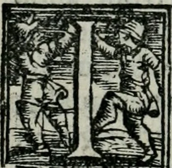 An illustration from Trattato dell'imbrigliare, maneggiare, et ferrare cavalli : diviso in tre parti, con alcvni discorsi sopra la natura di caualli, con disegni di briglie, maneggi, & di caualieri a cauallo, & de ferri d'esso, 1556, leaf 13
