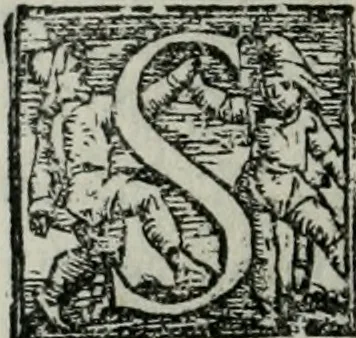 An illustration from Trattato dell'imbrigliare, maneggiare, et ferrare cavalli : diviso in tre parti, con alcvni discorsi sopra la natura di caualli, con disegni di briglie, maneggi, & di caualieri a cauallo, & de ferri d'esso, 1556, leaf 131