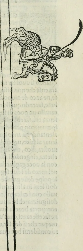 An illustration from Trattato dell'imbrigliare, maneggiare, et ferrare cavalli : diviso in tre parti, con alcvni discorsi sopra la natura di caualli, con disegni di briglie, maneggi, & di caualieri a cauallo, & de ferri d'esso, 1556, leaf 132
