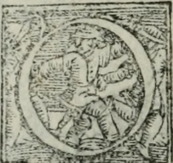 An illustration from Trattato dell'imbrigliare, maneggiare, et ferrare cavalli : diviso in tre parti, con alcvni discorsi sopra la natura di caualli, con disegni di briglie, maneggi, & di caualieri a cauallo, & de ferri d'esso, 1556, leaf 133