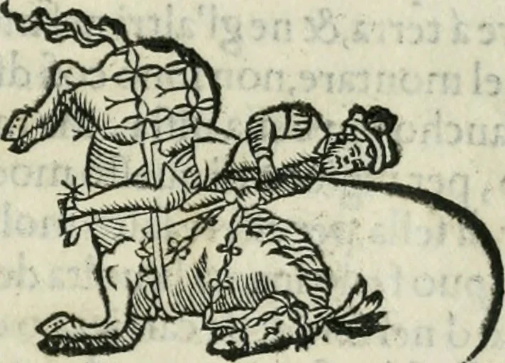An illustration from Trattato dell'imbrigliare, maneggiare, et ferrare cavalli : diviso in tre parti, con alcvni discorsi sopra la natura di caualli, con disegni di briglie, maneggi, & di caualieri a cauallo, & de ferri d'esso, 1556, leaf 134