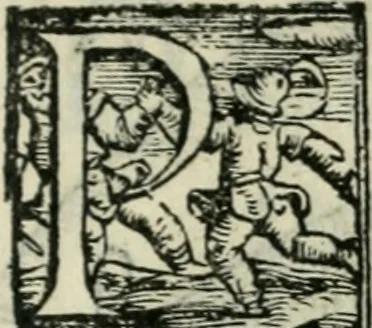 An illustration from Trattato dell'imbrigliare, maneggiare, et ferrare cavalli : diviso in tre parti, con alcvni discorsi sopra la natura di caualli, con disegni di briglie, maneggi, & di caualieri a cauallo, & de ferri d'esso, 1556, leaf 138