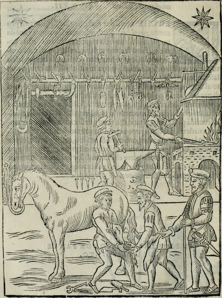 An illustration from Trattato dell'imbrigliare, maneggiare, et ferrare cavalli : diviso in tre parti, con alcvni discorsi sopra la natura di caualli, con disegni di briglie, maneggi, & di caualieri a cauallo, & de ferri d'esso, 1556, leaf 139