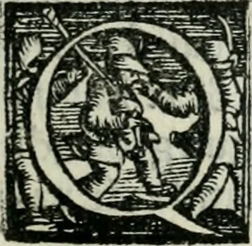 An illustration from Trattato dell'imbrigliare, maneggiare, et ferrare cavalli : diviso in tre parti, con alcvni discorsi sopra la natura di caualli, con disegni di briglie, maneggi, & di caualieri a cauallo, & de ferri d'esso, 1556, leaf 14