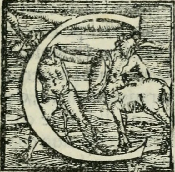 An illustration from Trattato dell'imbrigliare, maneggiare, et ferrare cavalli : diviso in tre parti, con alcvni discorsi sopra la natura di caualli, con disegni di briglie, maneggi, & di caualieri a cauallo, & de ferri d'esso, 1556, leaf 140