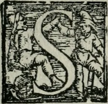An illustration from Trattato dell'imbrigliare, maneggiare, et ferrare cavalli : diviso in tre parti, con alcvni discorsi sopra la natura di caualli, con disegni di briglie, maneggi, & di caualieri a cauallo, & de ferri d'esso, 1556, leaf 141