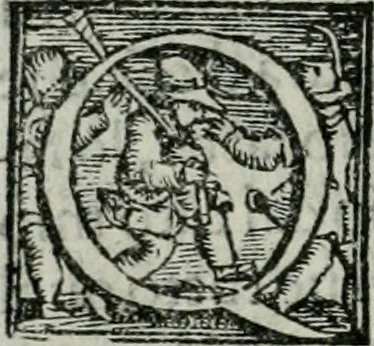 An illustration from Trattato dell'imbrigliare, maneggiare, et ferrare cavalli : diviso in tre parti, con alcvni discorsi sopra la natura di caualli, con disegni di briglie, maneggi, & di caualieri a cauallo, & de ferri d'esso, 1556, leaf 143