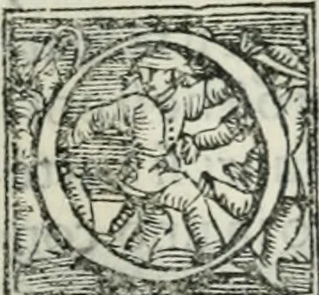 An illustration from Trattato dell'imbrigliare, maneggiare, et ferrare cavalli : diviso in tre parti, con alcvni discorsi sopra la natura di caualli, con disegni di briglie, maneggi, & di caualieri a cauallo, & de ferri d'esso, 1556, leaf 148