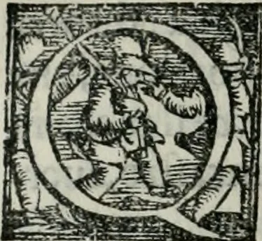 An illustration from Trattato dell'imbrigliare, maneggiare, et ferrare cavalli : diviso in tre parti, con alcvni discorsi sopra la natura di caualli, con disegni di briglie, maneggi, & di caualieri a cauallo, & de ferri d'esso, 1556, leaf 149