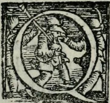 An illustration from Trattato dell'imbrigliare, maneggiare, et ferrare cavalli : diviso in tre parti, con alcvni discorsi sopra la natura di caualli, con disegni di briglie, maneggi, & di caualieri a cauallo, & de ferri d'esso, 1556, leaf 15