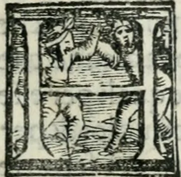An illustration from Trattato dell'imbrigliare, maneggiare, et ferrare cavalli : diviso in tre parti, con alcvni discorsi sopra la natura di caualli, con disegni di briglie, maneggi, & di caualieri a cauallo, & de ferri d'esso, 1556, leaf 150