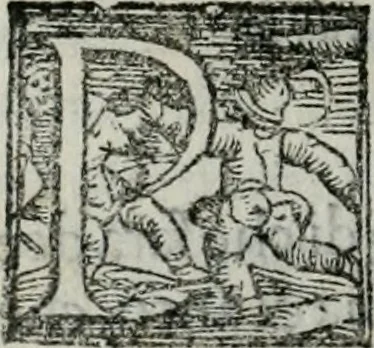 An illustration from Trattato dell'imbrigliare, maneggiare, et ferrare cavalli : diviso in tre parti, con alcvni discorsi sopra la natura di caualli, con disegni di briglie, maneggi, & di caualieri a cauallo, & de ferri d'esso, 1556, leaf 151