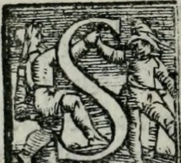 An illustration from Trattato dell'imbrigliare, maneggiare, et ferrare cavalli : diviso in tre parti, con alcvni discorsi sopra la natura di caualli, con disegni di briglie, maneggi, & di caualieri a cauallo, & de ferri d'esso, 1556, leaf 153