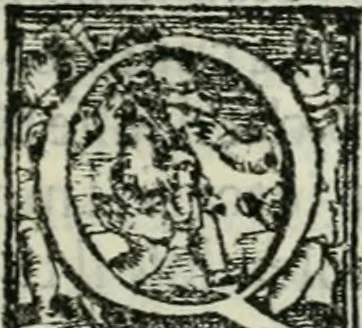 An illustration from Trattato dell'imbrigliare, maneggiare, et ferrare cavalli : diviso in tre parti, con alcvni discorsi sopra la natura di caualli, con disegni di briglie, maneggi, & di caualieri a cauallo, & de ferri d'esso, 1556, leaf 16