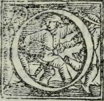 An illustration from Trattato dell'imbrigliare, maneggiare, et ferrare cavalli : diviso in tre parti, con alcvni discorsi sopra la natura di caualli, con disegni di briglie, maneggi, & di caualieri a cauallo, & de ferri d'esso, 1556, leaf 163