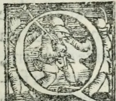 An illustration from Trattato dell'imbrigliare, maneggiare, et ferrare cavalli : diviso in tre parti, con alcvni discorsi sopra la natura di caualli, con disegni di briglie, maneggi, & di caualieri a cauallo, & de ferri d'esso, 1556, leaf 168