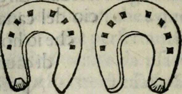 An illustration from Trattato dell'imbrigliare, maneggiare, et ferrare cavalli : diviso in tre parti, con alcvni discorsi sopra la natura di caualli, con disegni di briglie, maneggi, & di caualieri a cauallo, & de ferri d'esso, 1556, leaf 173