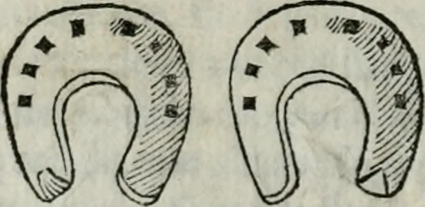 An illustration from Trattato dell'imbrigliare, maneggiare, et ferrare cavalli : diviso in tre parti, con alcvni discorsi sopra la natura di caualli, con disegni di briglie, maneggi, & di caualieri a cauallo, & de ferri d'esso, 1556, leaf 173