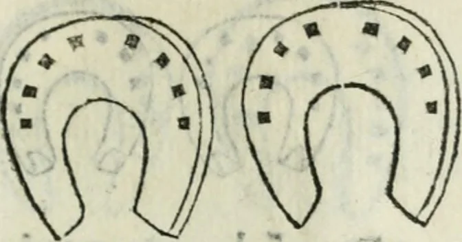 An illustration from Trattato dell'imbrigliare, maneggiare, et ferrare cavalli : diviso in tre parti, con alcvni discorsi sopra la natura di caualli, con disegni di briglie, maneggi, & di caualieri a cauallo, & de ferri d'esso, 1556, leaf 174