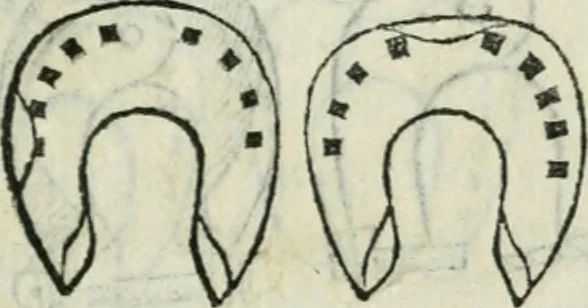 An illustration from Trattato dell'imbrigliare, maneggiare, et ferrare cavalli : diviso in tre parti, con alcvni discorsi sopra la natura di caualli, con disegni di briglie, maneggi, & di caualieri a cauallo, & de ferri d'esso, 1556, leaf 174
